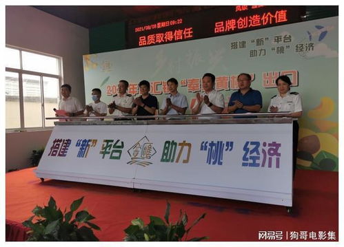 上海奉賢黃桃香飄香港，技術賦能開啟高品質農產品出口新篇章